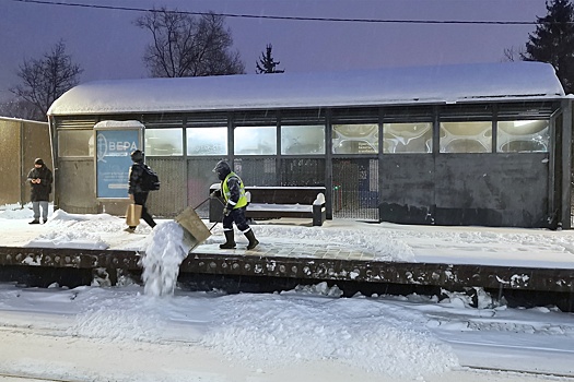 Аэроэкспрессы в Шереметьево и Домодедово ходят по расписанию на фоне снегопада