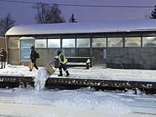 Аэроэкспрессы в Шереметьево и Домодедово ходят по расписанию на фоне снегопада