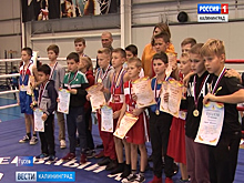 В Калининградской области прошло Первинство Министерства образования Калининградской области по боксу