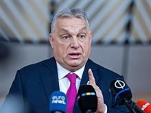 Во Франции поддержали обвинения Орбана в адрес Зеленского