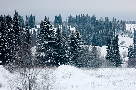 Последнее фото Усольцевых на Минской петле: автор снимка раскрыла странности семьи