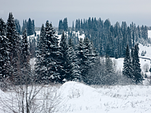 Последнее фото Усольцевых на Минской петле: автор снимка раскрыла странности семьи