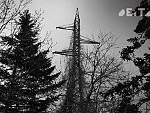 Расследование уголовного дела о взятках энергетикам МУПВ ВПЭС завершено в Приморье