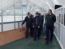 Когда в Зеленогорске появится Ледовый дворец