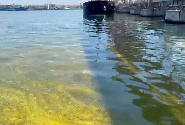 Под Одессой разлилось подсолнечное масло