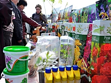 На ярмарке «Дачный сезон» вологжане смогут купить любые товары по ценам производителя