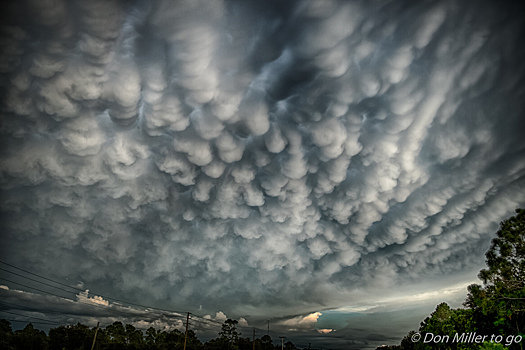 Норильчанин сфотографировал редкие облака‐мамматусы