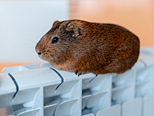 Жителям домов на ул. Механической в Краснодаре пообещали вернуть отопление 31 октября