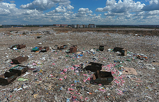 Парки вместо свалок: как бывшие полигоны отходов обретают вторую жизнь