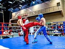 В Курске прошёл чемпионат ЦФО по кикбоксингу