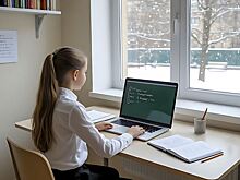 В Екатеринбурге на дистант перевели три школы