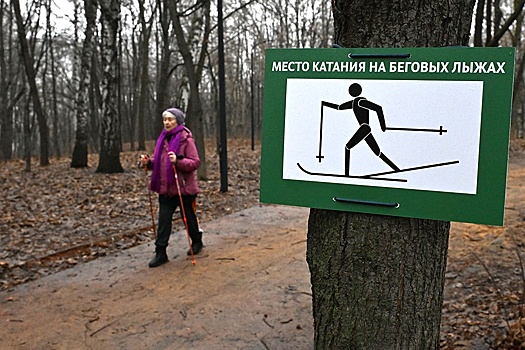 Леус: В 90 населенных пунктах РФ 2025 год стал самым теплым в истории