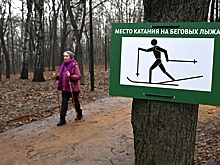 Леус: В 90 населенных пунктах РФ 2025 год стал самым теплым в истории