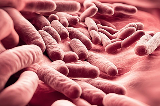 Бактерии кишечника оказались «секретным оружием» против стресса и тревоги