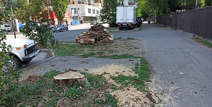 В Ростове на улице Ларина спилили дерево, представлявшее опасность для окружающих