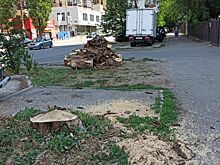 В Ростове на улице Ларина спилили дерево, представлявшее опасность для окружающих