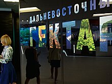 Галушка опроверг слухи, что Владивосток может вновь стать закрытым городом