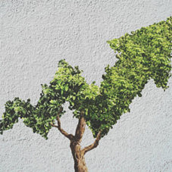 Социальная ответственность: как бизнес делает этот мир лучше