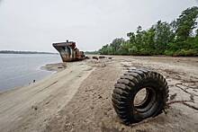 Оценена токсичность воды в Днепре после разрушения Каховской ГЭС