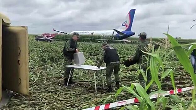 Житель Подмосковья боролся со свалкой в Жуковском