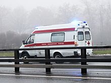 Беременную женщину с двумя детьми сбил Infiniti под Екатеринбургом