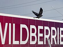 Wildberries поднял плату за прием товаров на склад в несколько раз