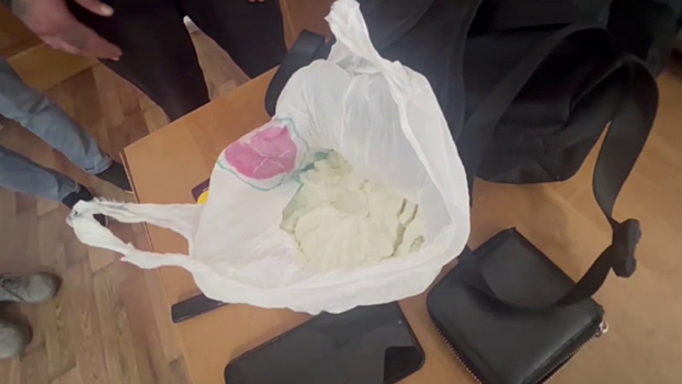 В Ингушетии полицейские изъяли у задержанного закладчика почти 1,3 кг мефедрона