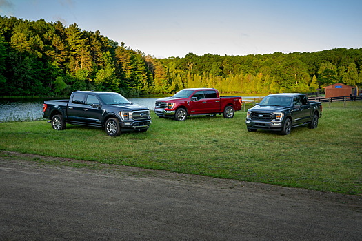  		 			Ford сокращает производство нового F-150 из-за нехватки полупроводников 		 	