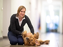 Ученые: собаки помогут при лечении тяжелой фибромиалгии