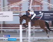 В Черняховске состоялся турнир по конному спорту