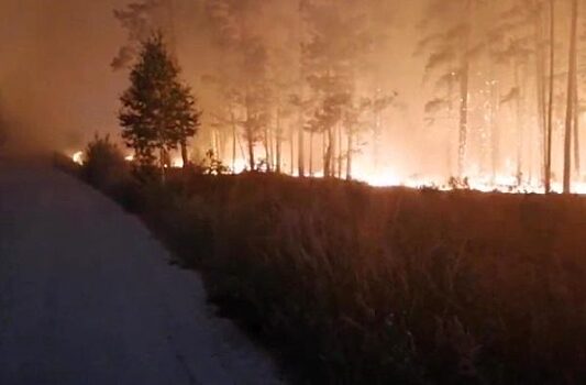 В Красноярском крае потушили три лесных пожара
