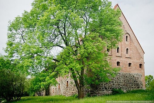 Замок XIV века выставили на торги в Калининградской области