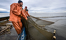 Кабмин одобрил денонсацию соглашения с Британией о рыболовстве