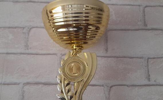 В Курске состоялись чемпионат и первенство Курской области по ММА