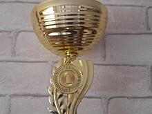 В Курске состоялись чемпионат и первенство Курской области по ММА