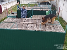 В курском Управлении ФСИН прошли соревнования кинологов