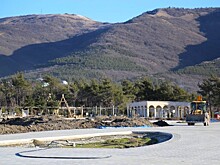 Более 100 тысяч деревьев высадят в Новом парке в Геленджике