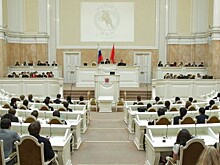 «Проблемы «встреч с депутатами» на Дону нет в отличие от Санкт-Петербурга»