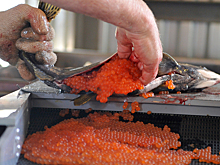 Красная цена для красной икры: до Нового года деликатес еще будет дорожать