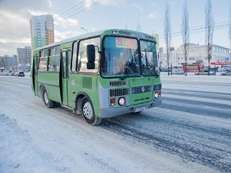 В России после предложения депутатов Башкирии могут ужесточить деятельность нелегальных перевозчиков