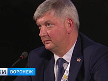 Без острых вопросов. Александр Гусев не оценил спектакль «100% Воронеж»