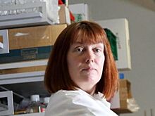 Разработчик вакцины Astrazeneca Сара Гилберт заявила о риске более опасных пандемий