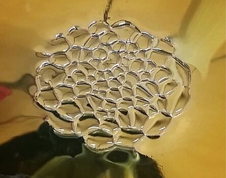 Школьник разгадал загадку «электрических сот»