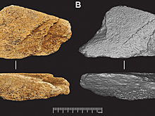 Найденный в Англии артефакт оказался древнейшим в Европе орудием из слоновой кости