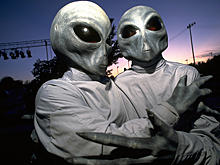 «Как гражданин и патриот требую провести расследование»