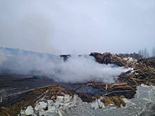 В Тверской области сожгли огромную свалку древесных отходов