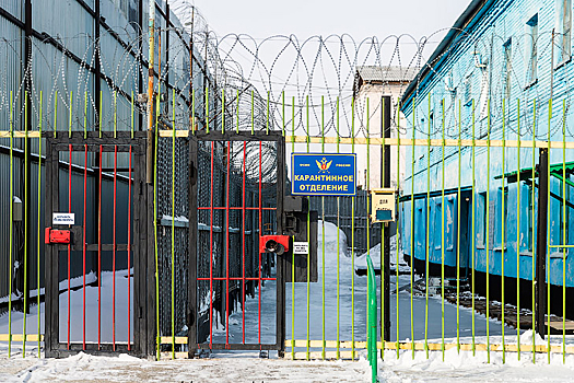 Смольянинова отправили в колонию строгого режима под Новосибирском