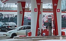 «Америку мы хоть в чем-то догоним»: Глава УФАС РТ пошутил о росте цен на топливо