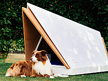 Собачку жалко: Ford создал необычную конуру на Новый год