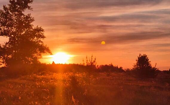 В Курской области ожидается самое жаркое лето за последние 150 лет